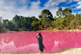 Jezero u Australiji ljeti postaje roze boje