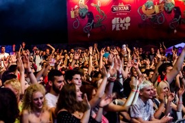 Ove godine nema Demofesta