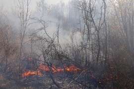 Izbila tri nova požara na području Bileće, vatra na 30 metara od ...