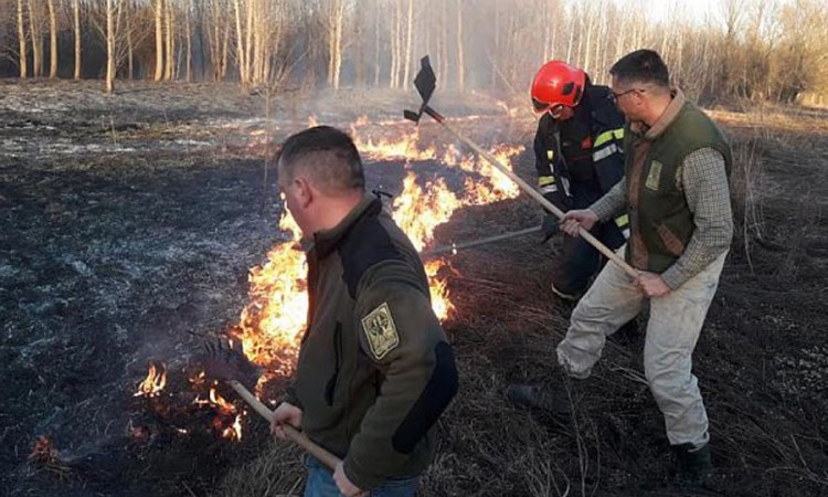Ponovo gori Fruška gora, sumnja se da su požari podmetnuti