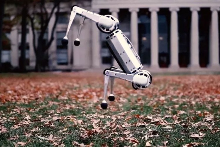 Mali robot za cirkuske atrakcije