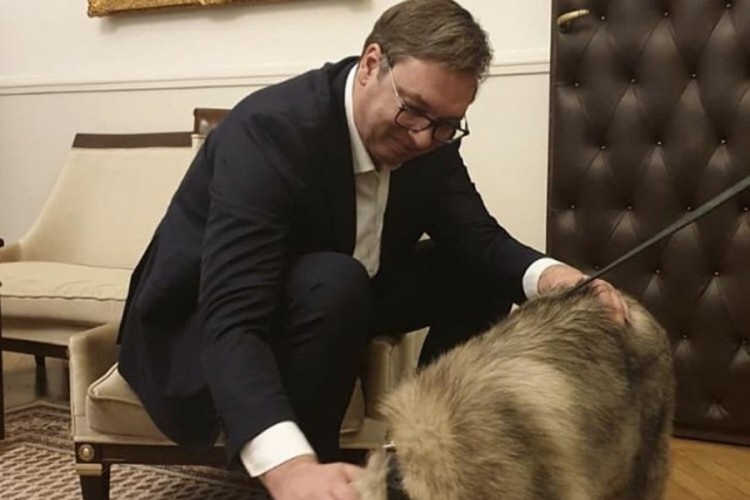 Vučić za rođendan dobio šarplaninca