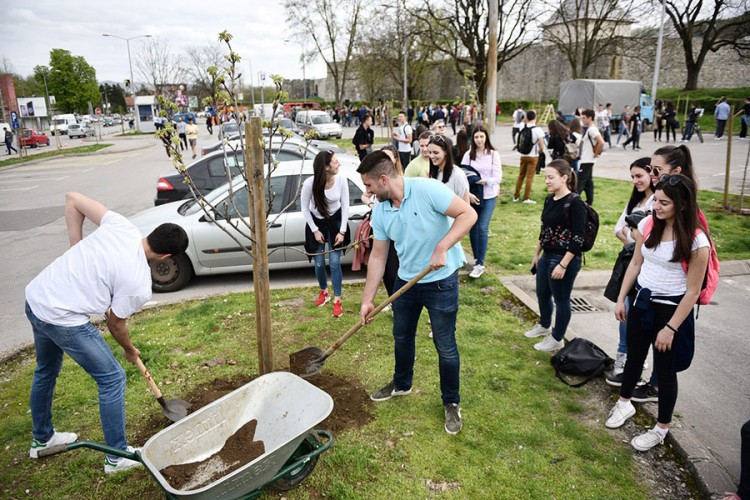 Niče druga aleja maturanata