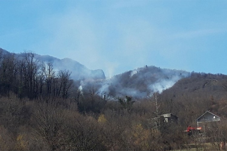 Požar kod Konjica, gori hrastova šuma