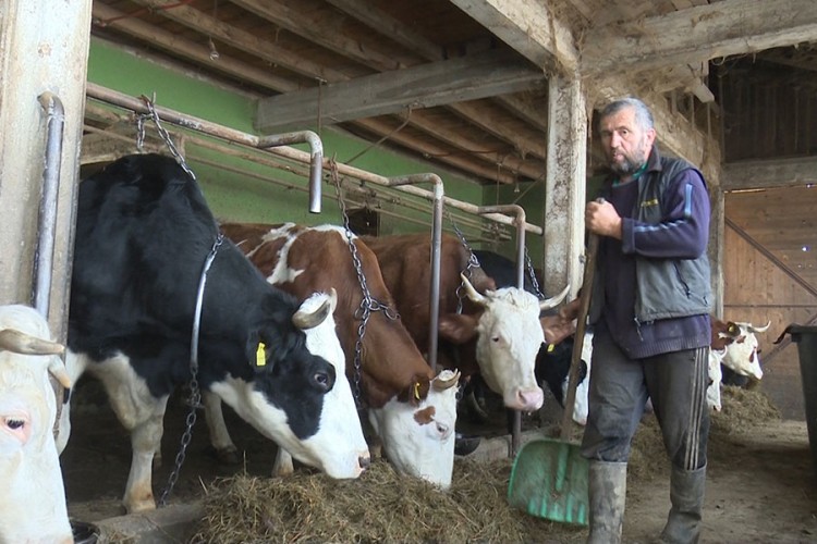 Bolje ratar kod kuće, nego vozač u Sloveniji