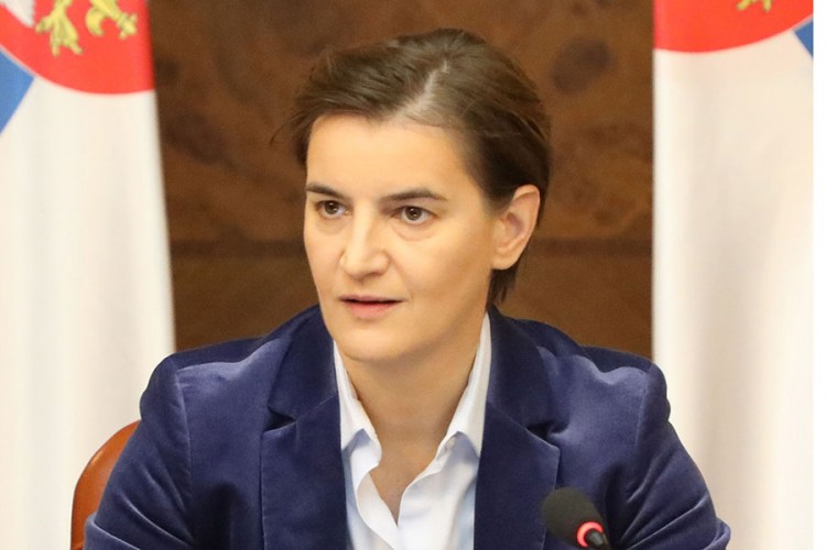 Brnabić: Treba sačekati s reagovanjem na presudu Karadžiću