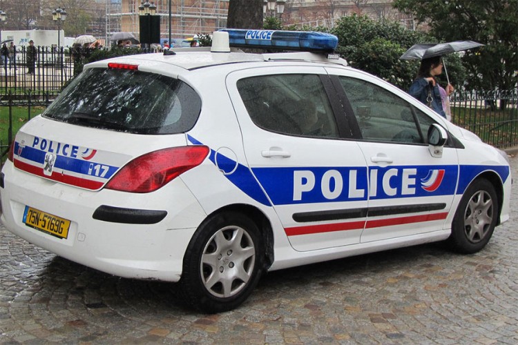 Srpska porodica krala po Francuskoj