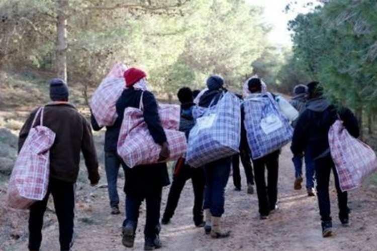 U dva auta potrpali 17 migranata
