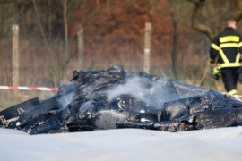 U padu aviona poginula jedna od najbogatijih Ruskinja