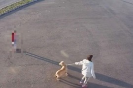 Udruženja će podnijeti krivičnu prijavu protiv žene koja je ...