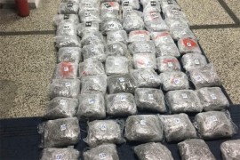 U Ulcinju zaplijenjeno 170 kilograma skanka