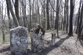 Kod Tuzle pronađeno 39 stećaka