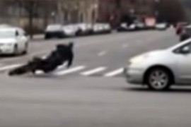 Policajac sjeo na zaplijenjeni motor pa se "prosuo" po putu