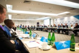 Međunarodna demokratska unija usvojila Rezoluciju o BiH