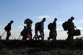 Pronađeno 17 migranata u posljednja 24 časa