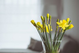 Feng šui savjeti za proljetno čišćenje kuće