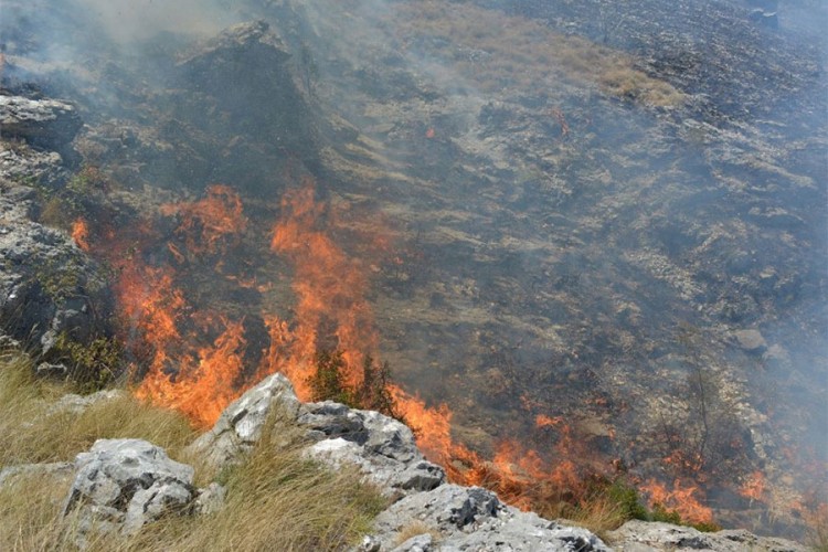 Na području Hercegovine aktivno 15 požara