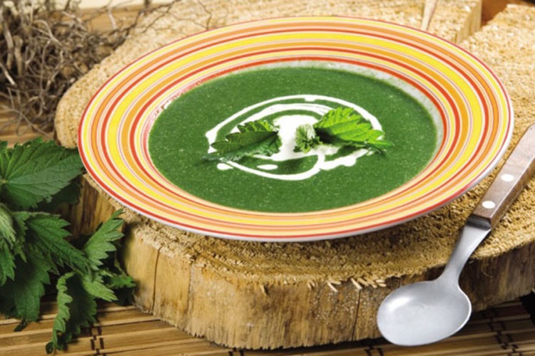 Aromatična čorba od kopriva