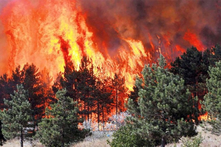 Za 34 dana ugašena 253 požara