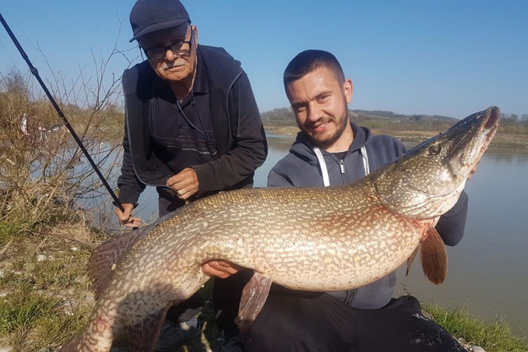 Mladić u Vrbasu ulovio štuku od 122 cm