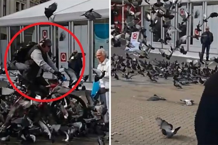 Širi se video bicikliste koji gazi jato i ubija nekoliko golubova u Zagrebu