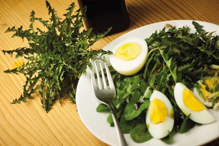 Gurmanska salata
