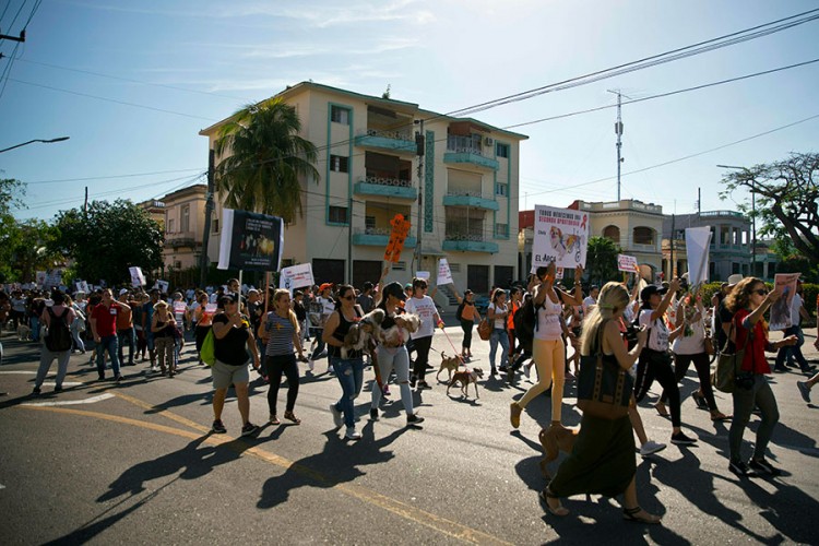Prvi nezavisni protesti na Kubi