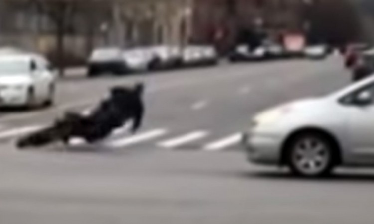 Policajac sjeo na zaplijenjeni motor pa se "prosuo" po putu