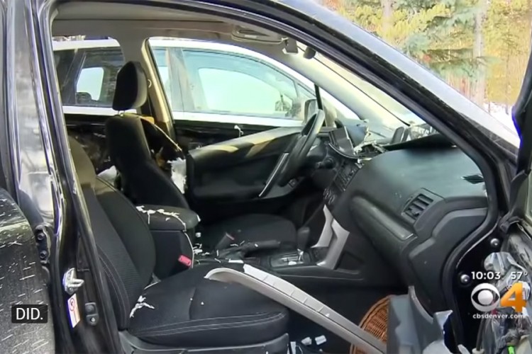 Medvjed ušao u auto, pogledajte šta je ostalo
