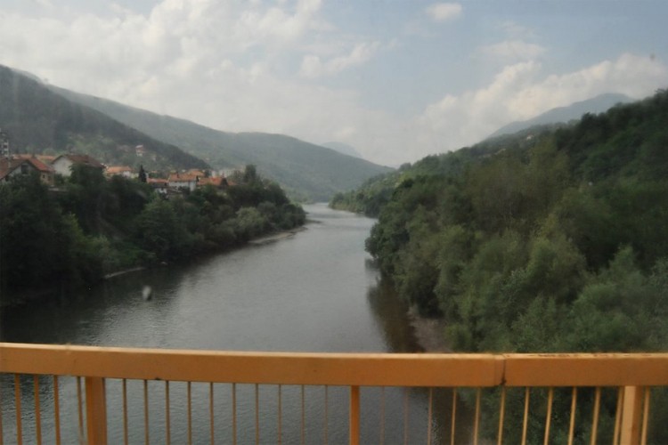 Fočak skočio s mosta i poginuo
