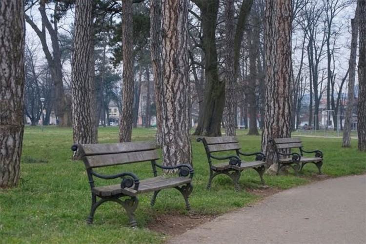 Vrijeđao štrajkače u banjalučkom parku