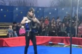 Piton u cirkusu zadavio čovjeka? (UZNEMIRUJUĆE)