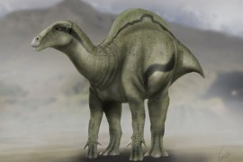 Pronađeni ostaci dinosaurusa stari 130 milona godina