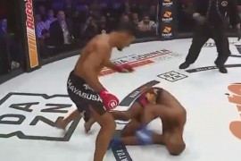 Pogledajte kako je Lima brutalno nokautirao Pejdža