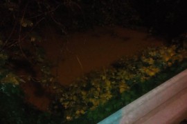 Vrbas u Kumsalama prijeti da se izlije