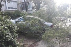 Jak vjetar u Mostaru lomio stabla, oštećeno nekoliko automobila