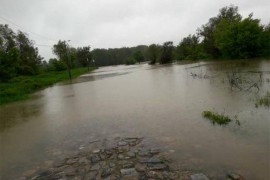 Bosna i Sava u porastu kod Šamca