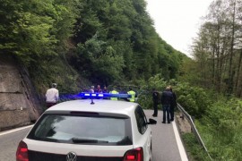 Stablo blokiralo put Jajce - Donji Vakuf