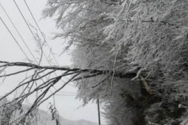 Snijeg na Žabljaku