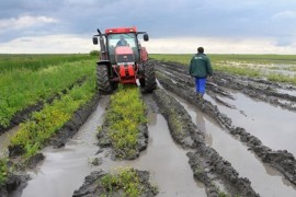 Poplave uzrokovale štetu u poljoprivrednoj proizvodnji: Uništena ...