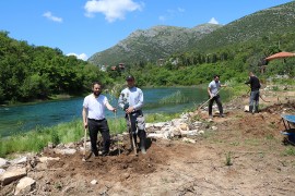 Niče najveći manastirski maslinjak