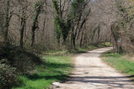 Kinezi zalutali zbog navigacije, pronađeni u selu kod Višegrada