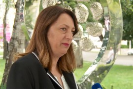 Tubić: Tragična smrt 12 beba ne smije biti zaboravljena