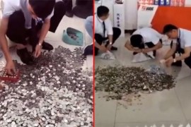 Kineskinja kupila automobil, platila u kovanicama: Radnici tri dana ...
