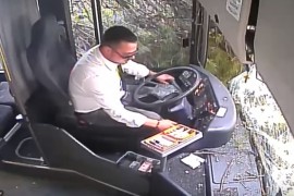 Pogledajte reakciju vozača kada je stablo palo na autobus