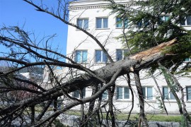 Šteta od olujnog nevremena u Mostaru dva miliona KM
