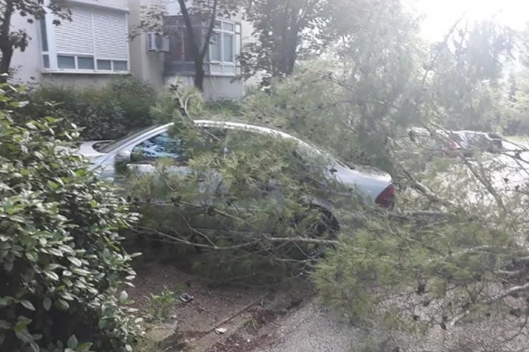 Jak vjetar u Mostaru lomio stabla, oštećeno nekoliko automobila
