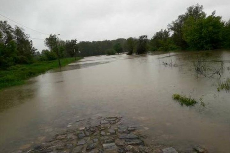 Bosna i Sava u porastu kod Šamca