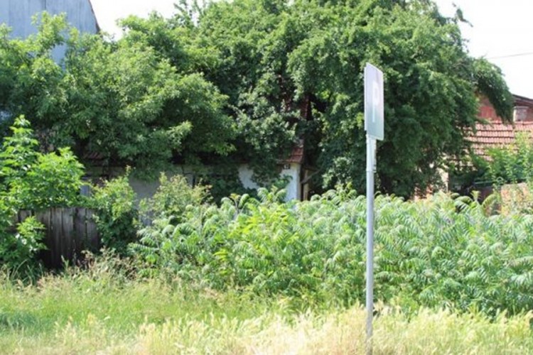 Oštrija kontrola zapuštenih dvorišta u Banjaluci
