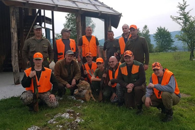 U selu Dabar nadomak Sanskog Mosta odstrijeljen šakal